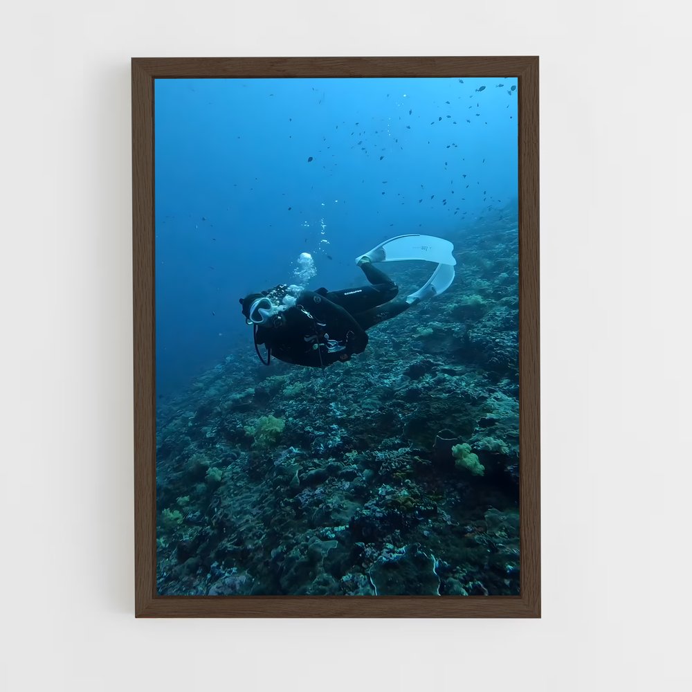 Poster Plongée Maldivienne – affiche Plongée sous-marine (vue 5)